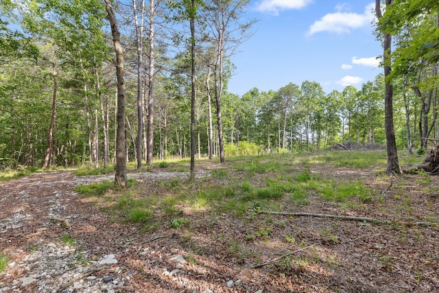 0 Griff Johnson Rd, Menlo, GA 30731