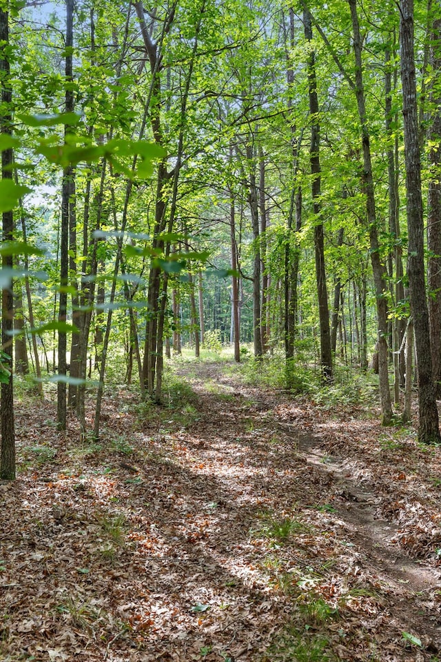 0 Griff Johnson Rd, Menlo, GA 30731