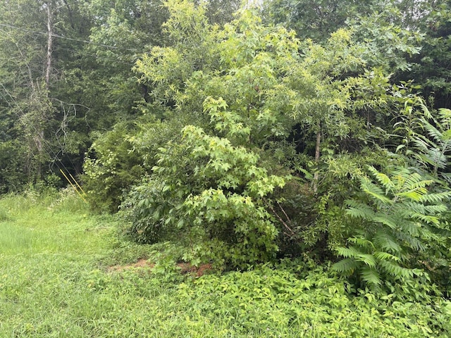 349 Carolyn Ln, Decatur, TN 37322