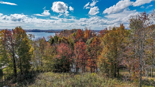 10A Dreamland Rd, Spring City, TN 37381 - photo 9