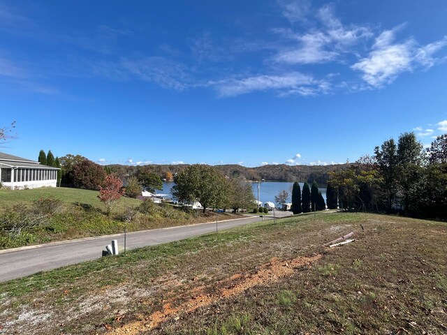 10A Dreamland Rd, Spring City, TN 37381 - photo 10