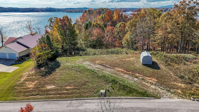 10A Dreamland Rd, Spring City, TN 37381 - photo 1