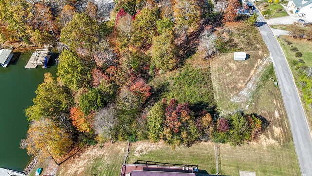 10A Dreamland Rd, Spring City, TN 37381 - photo 15