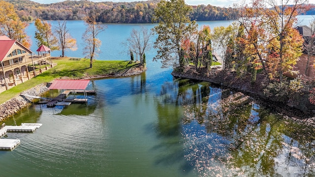 10A Dreamland Rd, Spring City, TN 37381 - photo 17