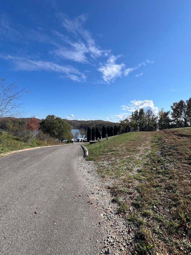 10A Dreamland Rd, Spring City, TN 37381 - photo 13