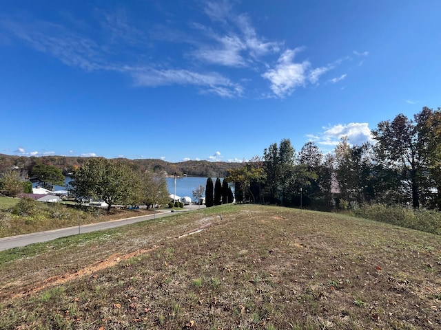 10A Dreamland Rd, Spring City, TN 37381 - photo 14