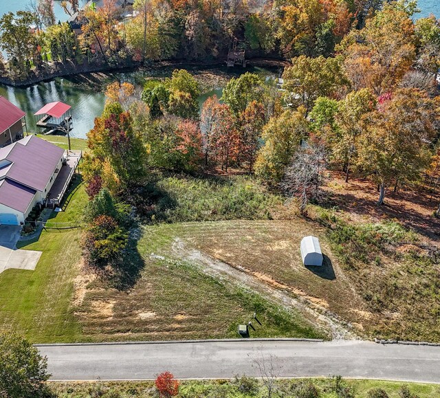10A Dreamland Rd, Spring City, TN 37381 - photo 2