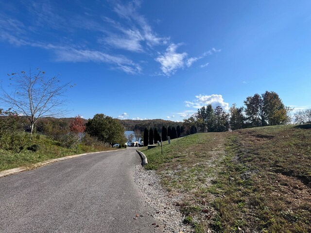 10A Dreamland Rd, Spring City, TN 37381 - photo 11