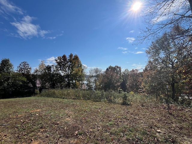 10A Dreamland Rd, Spring City, TN 37381 - photo 12