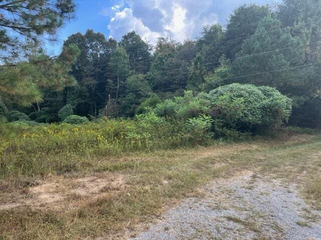 00 Sutton Rd, Evensville, TN 37332 - photo 2