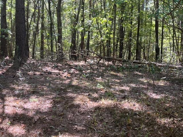 00 Sutton Rd, Evensville TN, 37332 land for sale