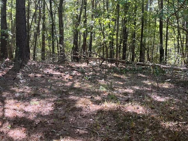 00 Sutton Rd, Evensville, TN 37332 - photo 1