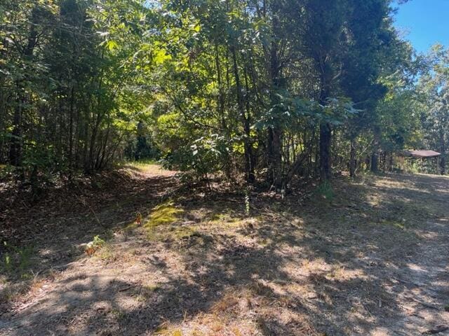 00 Sutton Rd, Evensville, TN 37332 - photo 3