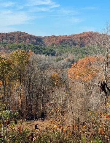 536 Geren Subdivision Ln, Decatur, TN 37322