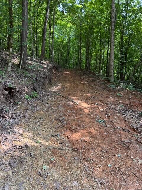 536 Geren Subdivision Ln, Decatur, TN 37322
