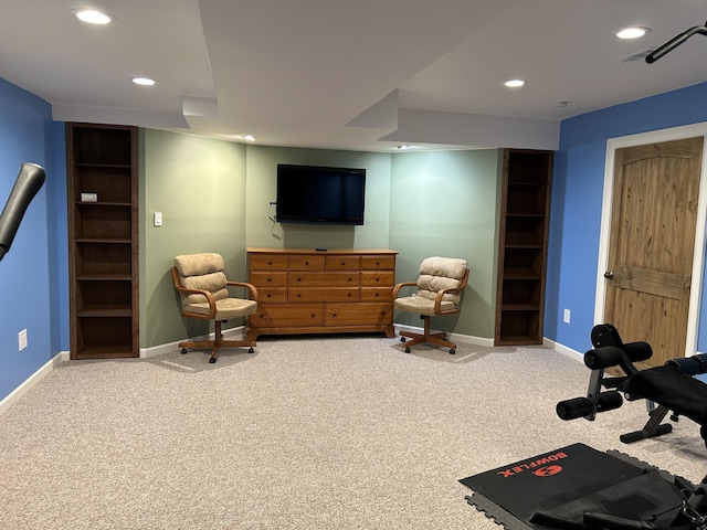 exercise area featuring carpet floors