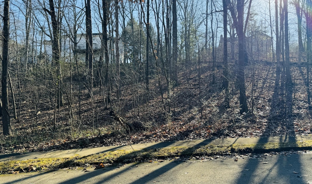 4742 Buckingham Dr, Chattanooga, TN 37421