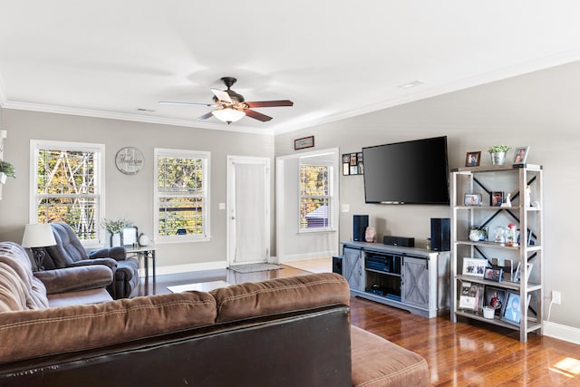 living room with dark hardwood / wood-style flooring, ceiling fan, and ornamental molding