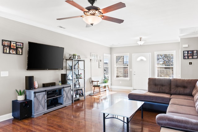 living room with ceiling fan, crown molding, and dark wood-type flooring