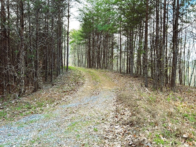 Listing photo 3 for TRACT2 SW Owl Hollow Rd, Mcdonald TN 37353