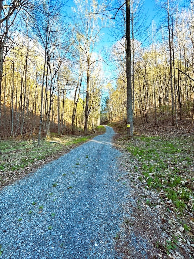 Listing photo 2 for TRACT2 SW Owl Hollow Rd, Mcdonald TN 37353