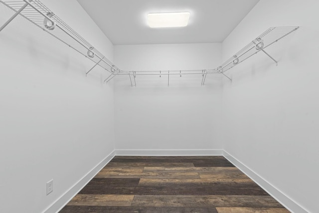 walk in closet featuring dark wood-type flooring