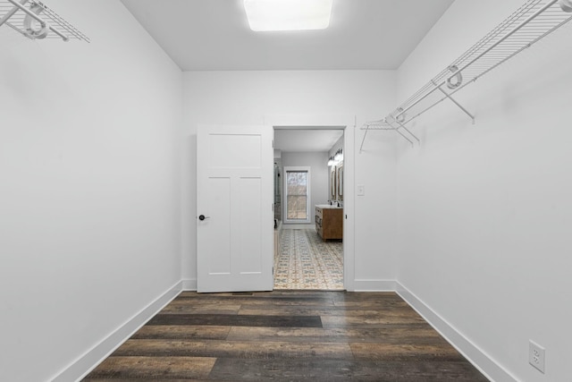 spacious closet featuring dark wood-type flooring