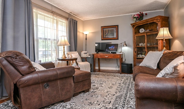 living room featuring a textured ceiling and ornamental molding