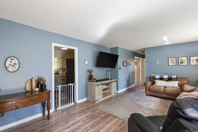 living room with wood-type flooring