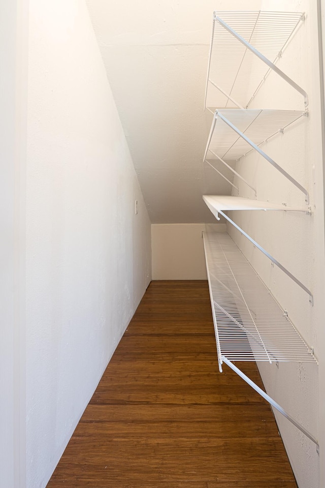 spacious closet with dark hardwood / wood-style floors