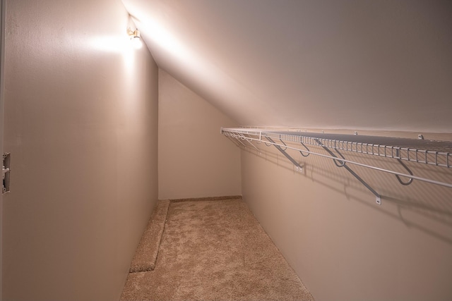 spacious closet featuring carpet and lofted ceiling