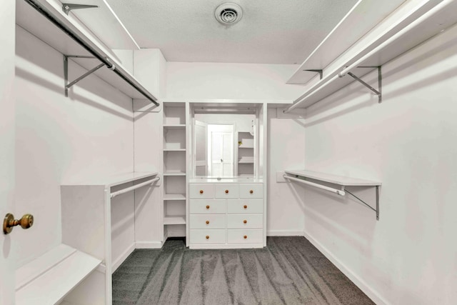 walk in closet featuring carpet floors