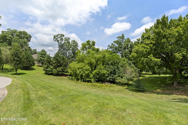 208 High Pointe Village Way, Kingston, TN 37763 - photo 47