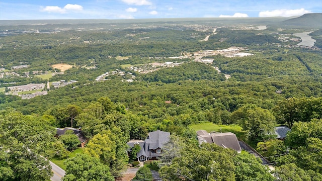 212 N Palisades Dr, Signal Mountain, TN 37377 - aerial view of a forest