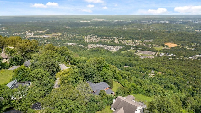 212 N Palisades Dr, Signal Mountain, TN 37377 - aerial view of property's location with a forest