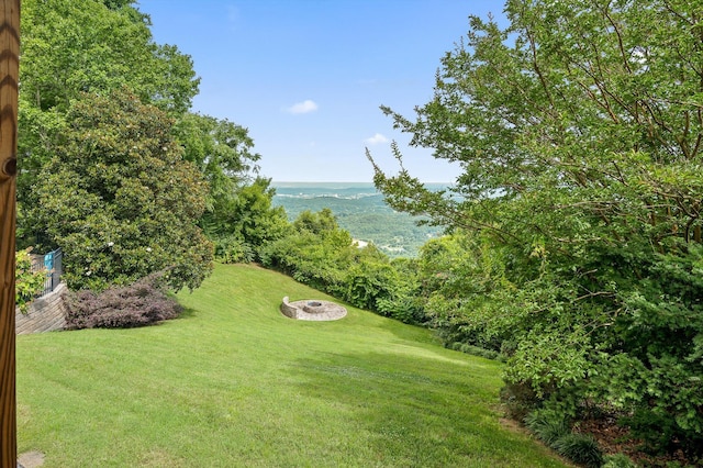 212 N Palisades Dr, Signal Mountain, TN 37377 - view of grassy yard