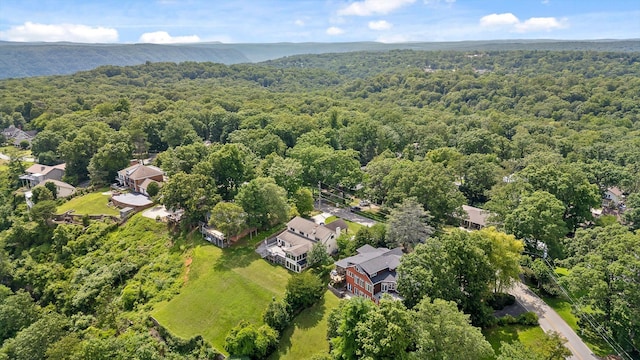 212 N Palisades Dr, Signal Mountain, TN 37377 - aerial view of residential area featuring a forest