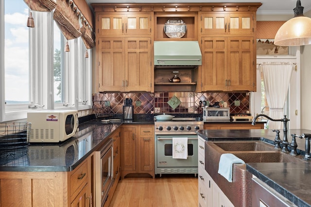 212 N Palisades Dr, Signal Mountain, TN 37377 - kitchen with stainless steel appliances, healthy amount of natural light, crown molding, backsplash, and pendant lighting