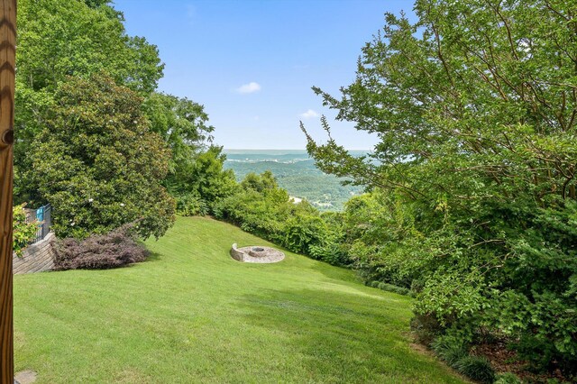 212 N Palisades Dr, Signal Mountain, TN 37377 - view of grassy yard