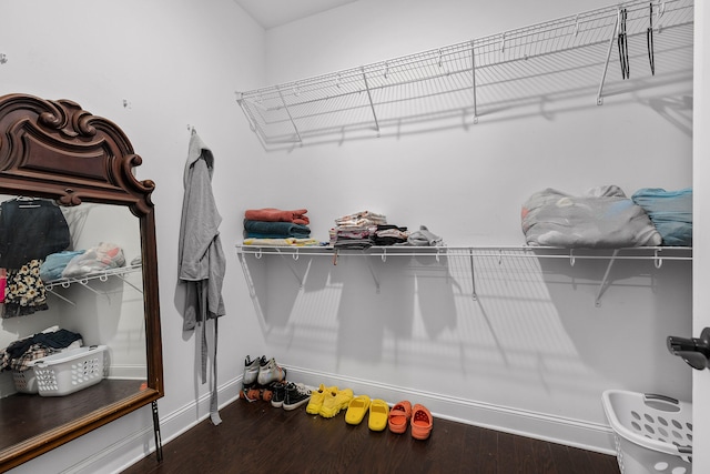 walk in closet with wood-type flooring