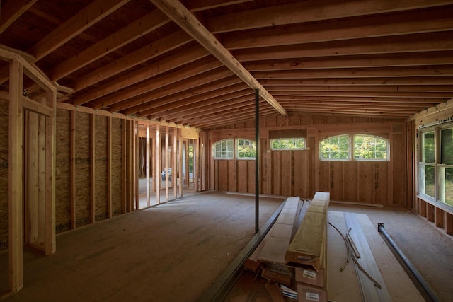 miscellaneous room featuring plenty of natural light