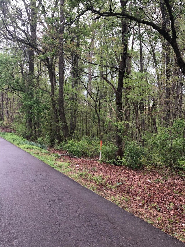 00 Hutton Ridge Rd, Maryville, TN 37801 - photo 4