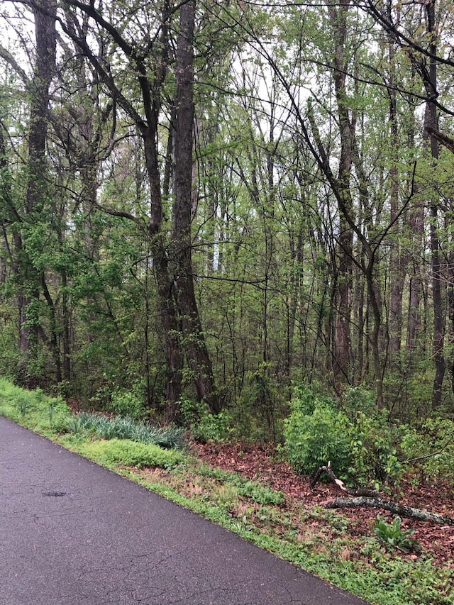 00 Hutton Ridge Rd, Maryville, TN 37801 - photo 2