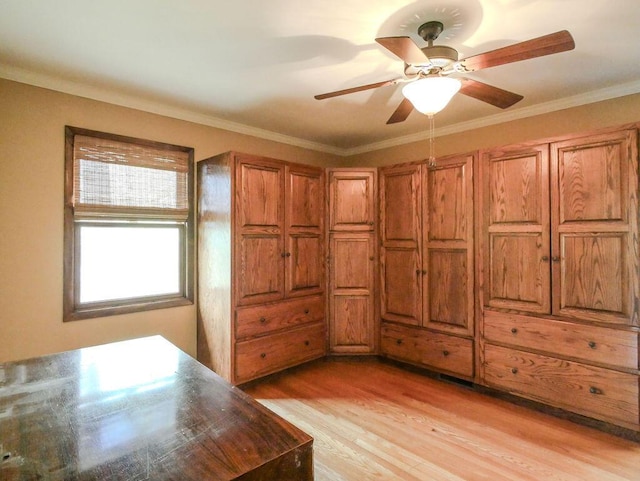 624 Pinecrest Dr, Athens, TN 37303 - unfurnished bedroom with ornamental molding, ceiling fan, and light wood finished floors