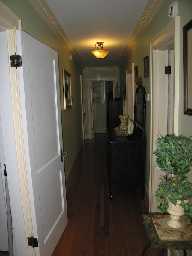 hallway featuring crown molding and dark hardwood / wood-style floors