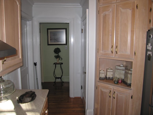 interior space with crown molding and dark wood-type flooring