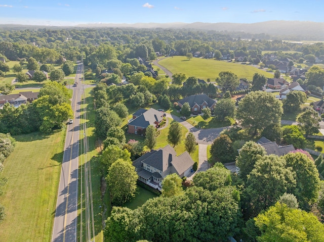 4537 Planters Ridge Dr NW, Cleveland, TN 37312 - photo 81