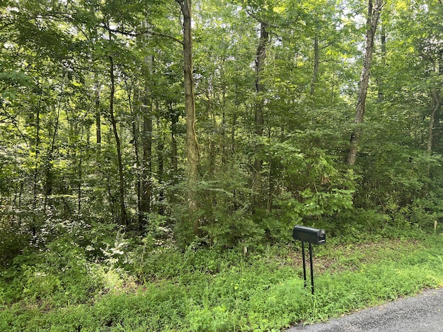 1710 Holly Glen Rd, Decatur, TN 37322 - photo 6