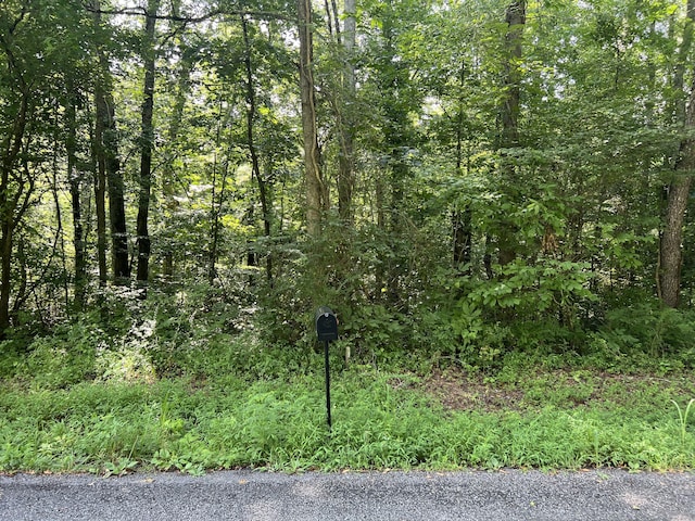 1710 Holly Glen Rd, Decatur, TN 37322 - photo 5