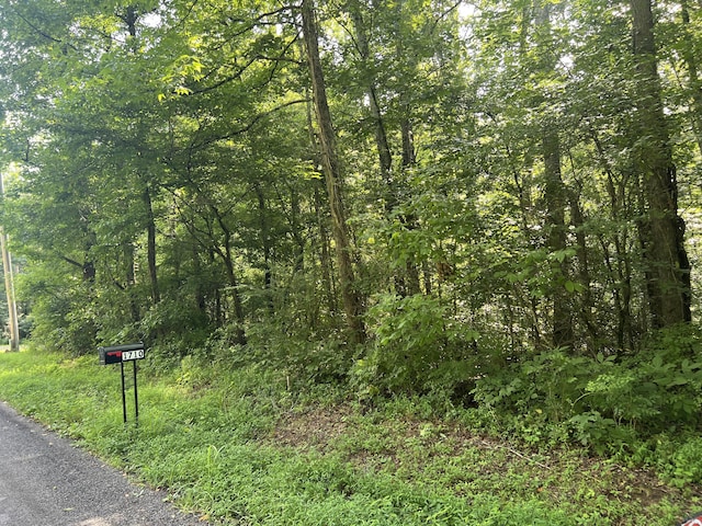 1710 Holly Glen Rd, Decatur, TN 37322 - photo 7